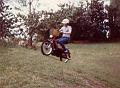 Moped Bermuda 83